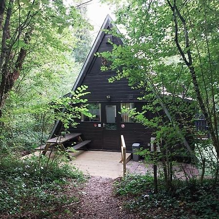 De Bosannemoon In Durbuy Villa Exteriör bild