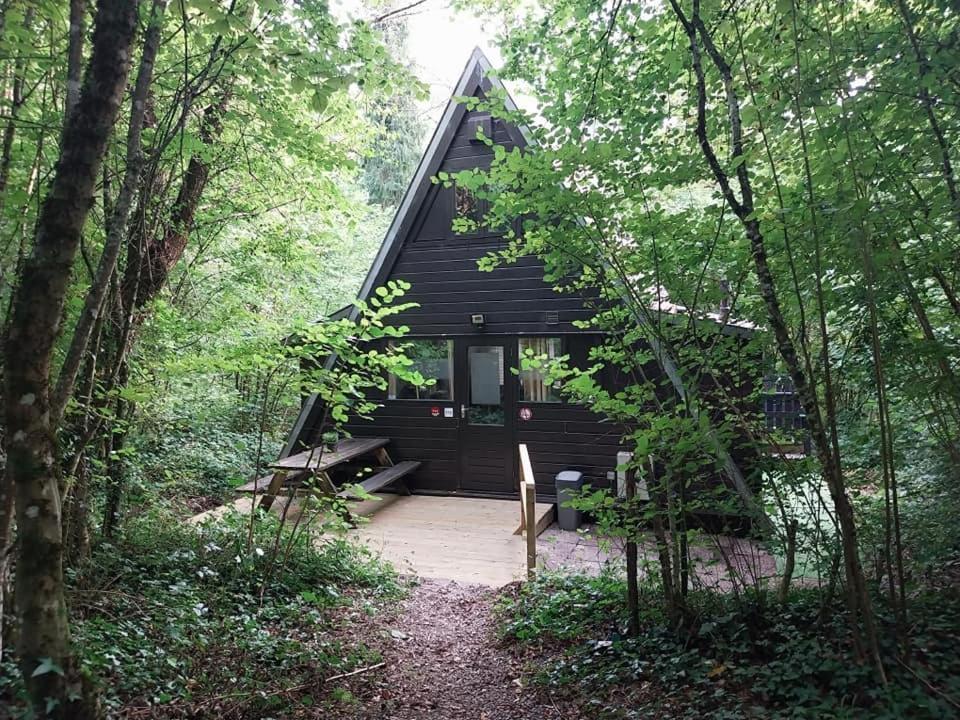 De Bosannemoon In Durbuy Villa Exteriör bild