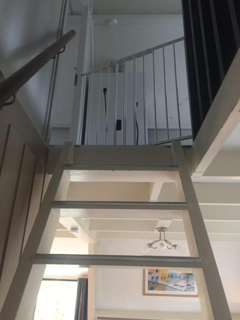 De Bosannemoon In Durbuy Villa Exteriör bild