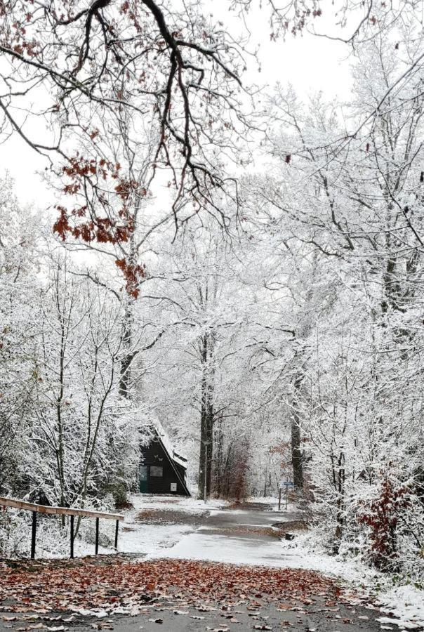 De Bosannemoon In Durbuy Villa Exteriör bild