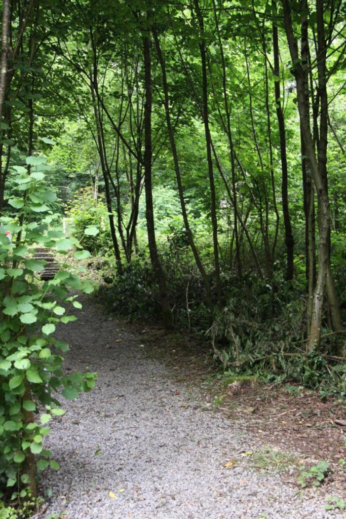 De Bosannemoon In Durbuy Villa Exteriör bild
